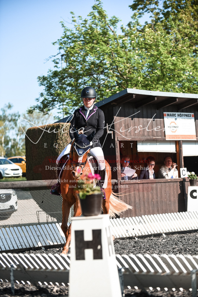 DSC_8413 | Pferde- und Turnierfotografie in Westsachsen. Pferdeportraits, Auftragszeichnungen und intuitive Kunst.