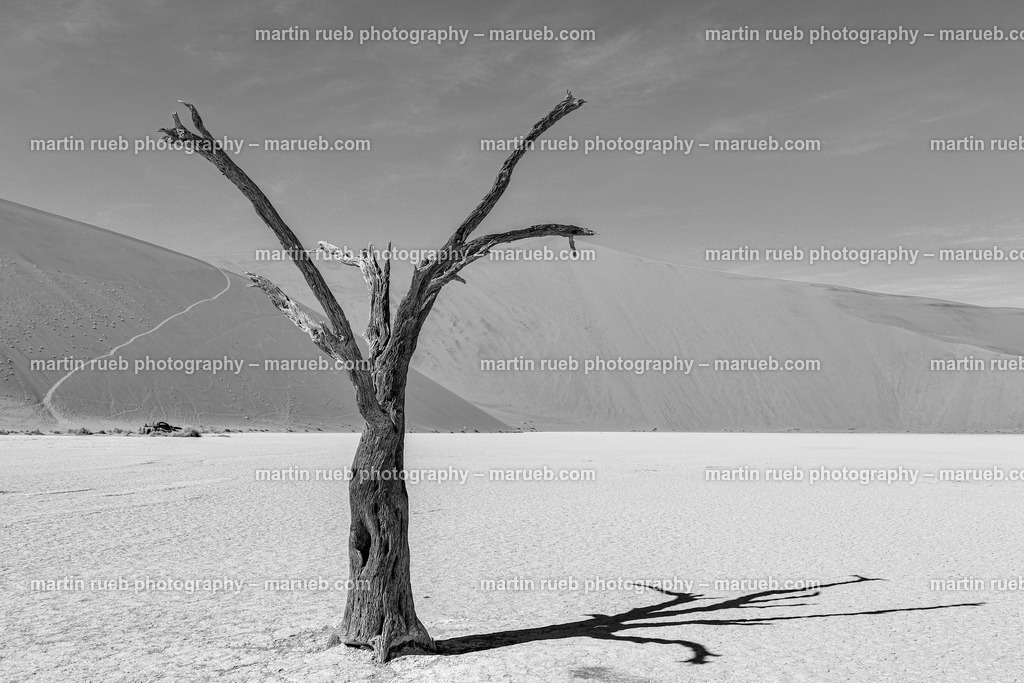 Peacefully grown in gray | Lonely tree at Deadvlei - Realisiert mit Pictrs.com