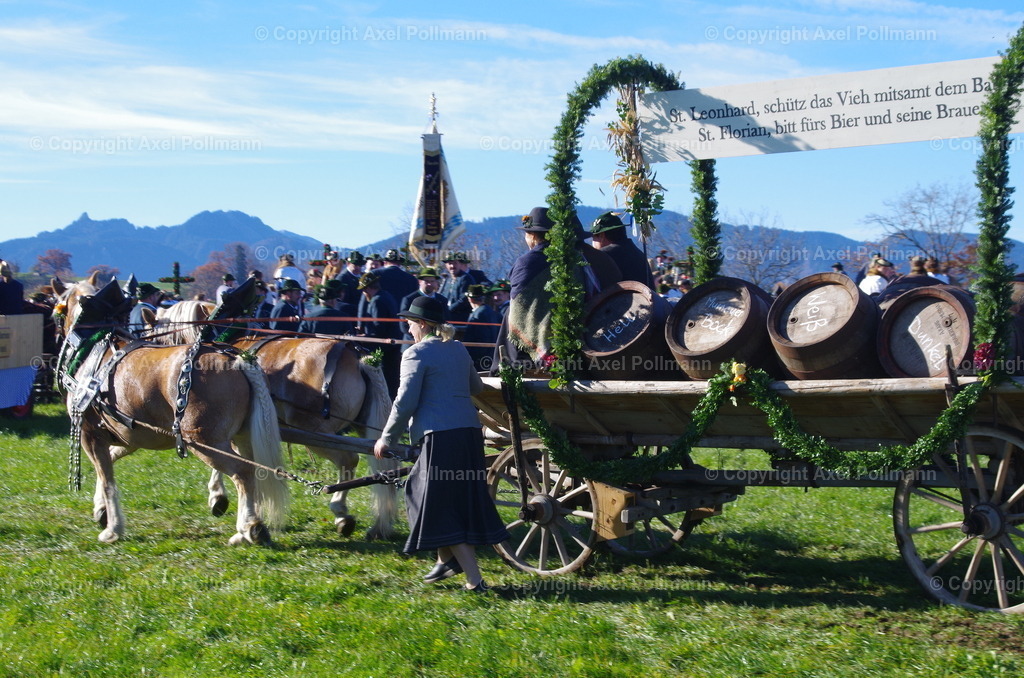 IMGP7662 | fotografiert von Axel PollmannLeonhardi Wallfahrt Benediktbeuern und Murnau, Fronleichnam, Fasching, Landschaft im Loisachtal und Benediktbeuern  - Realisiert mit Pictrs.com