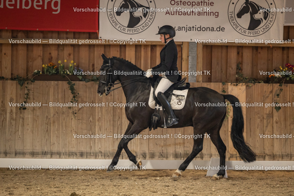 _D5A9683 | Emotionale Pferde- & People-Fotografie rund um Heidelberg, Leimen & Umgebung. Natürliche Fotos von Pferd, Mensch & Familie. Jetzt Termin sichern!