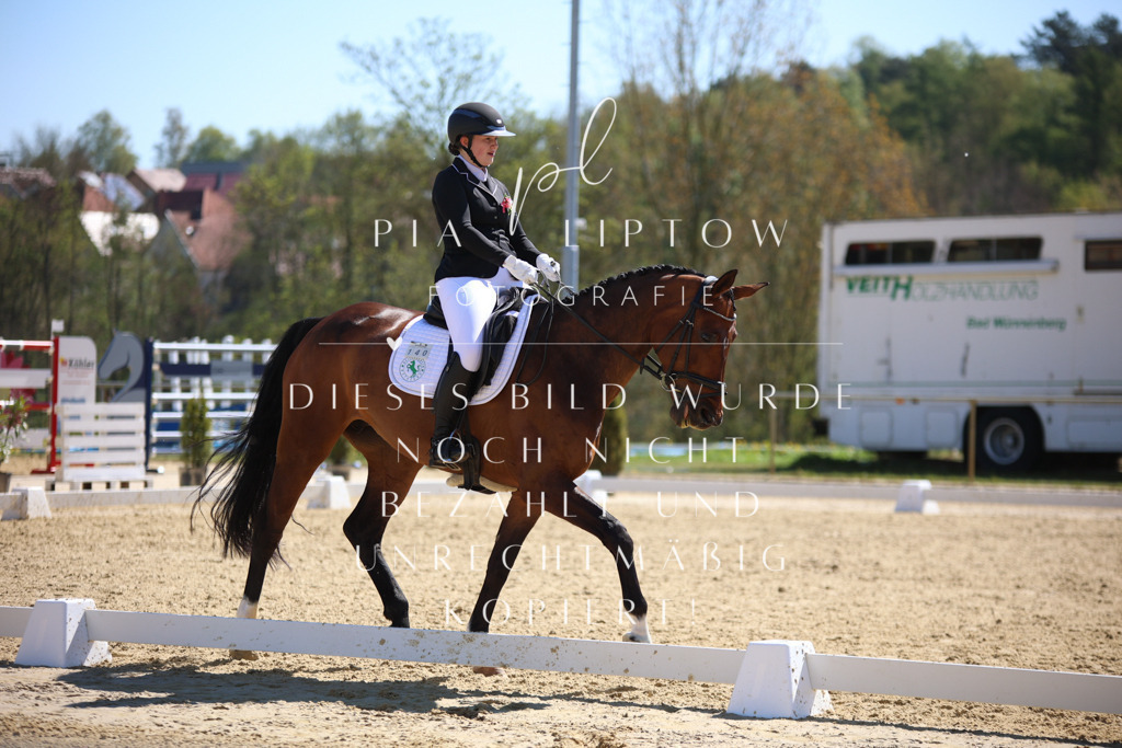 IMGT1172 | pl-fotografie