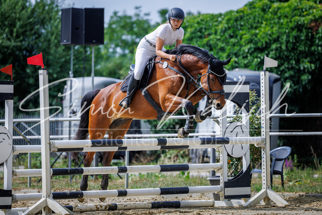 20260705-_3LI4234 | Tierfotografie Pferde, Hunde, Katzen, Haustiere.
Turnierfotografie Reitturniere, Reiten, Springreiten, Dressur in Hanau, dem Main-Kinzig-Kreis und dem Rhein-Main- Gebiet um Frankfurt