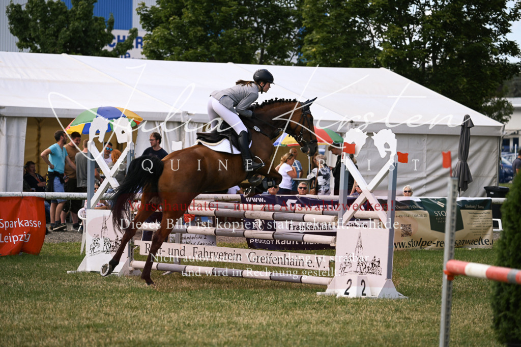 DSC_0571 | Pferde- und Turnierfotografie in Westsachsen. Pferdeportraits, Auftragszeichnungen und intuitive Kunst.