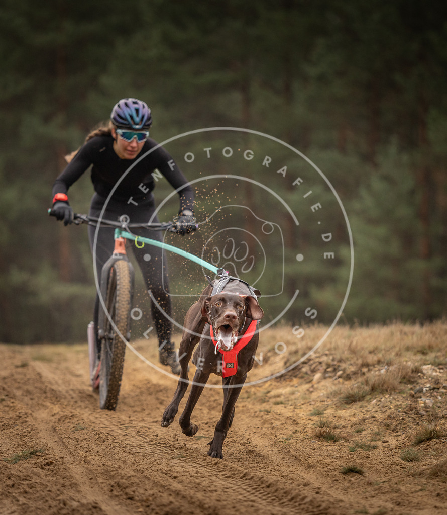 Pfotenfotografie_DV3A4189 | Hundefotografie, Tierfotograf, Pfotenfotografie, Fotoshooting Hund, Hunde Portrait, Hundesport, Hundeportraits, Heideshooting, Hunde, Sportfotograf, Hundefotograf, Turnierhundsport, THS,  - Realisiert mit Pictrs.com