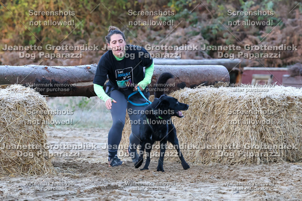 Dog Paparazzi - Strongdog 10-25-214 | Dog Paparazzi Jeanette Grottendiek Fotografie & Videografie - Realisiert mit Pictrs.com