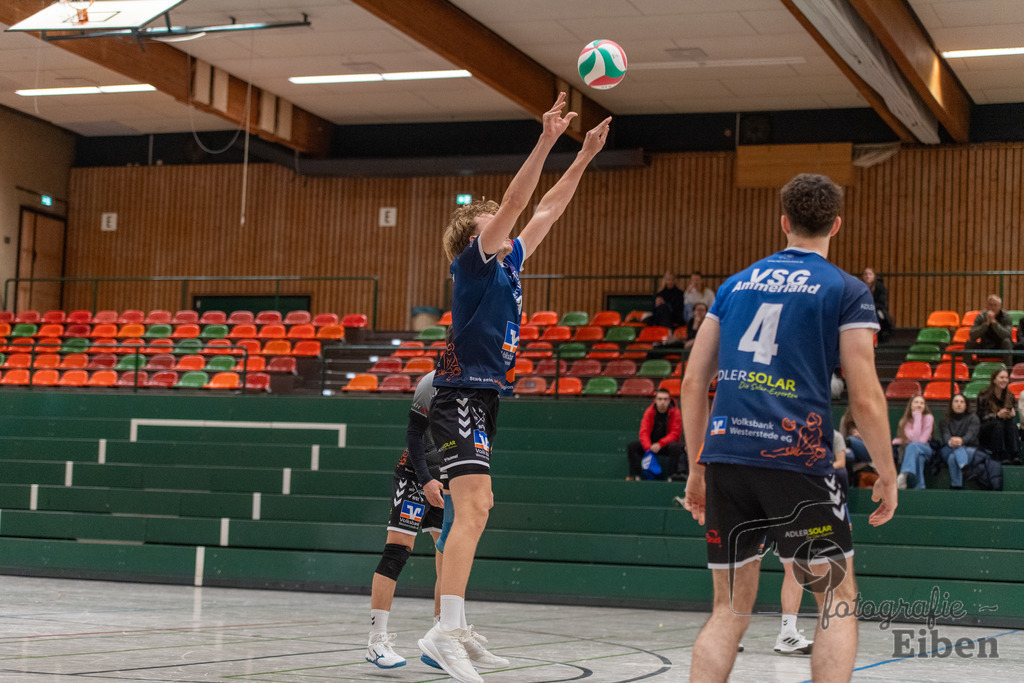 Oldenburger TB-VSG Ammerland | Volleyball Regionalliga; Oldenburger TB-VSG Ammerland am 24.01.2026 in Oldenburg (Sporthalle Haarenesch), Photo: Philip Eiben 2026 - Realisiert mit Pictrs.com