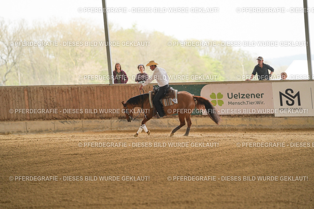 DSC06806 | Pferdegrafie