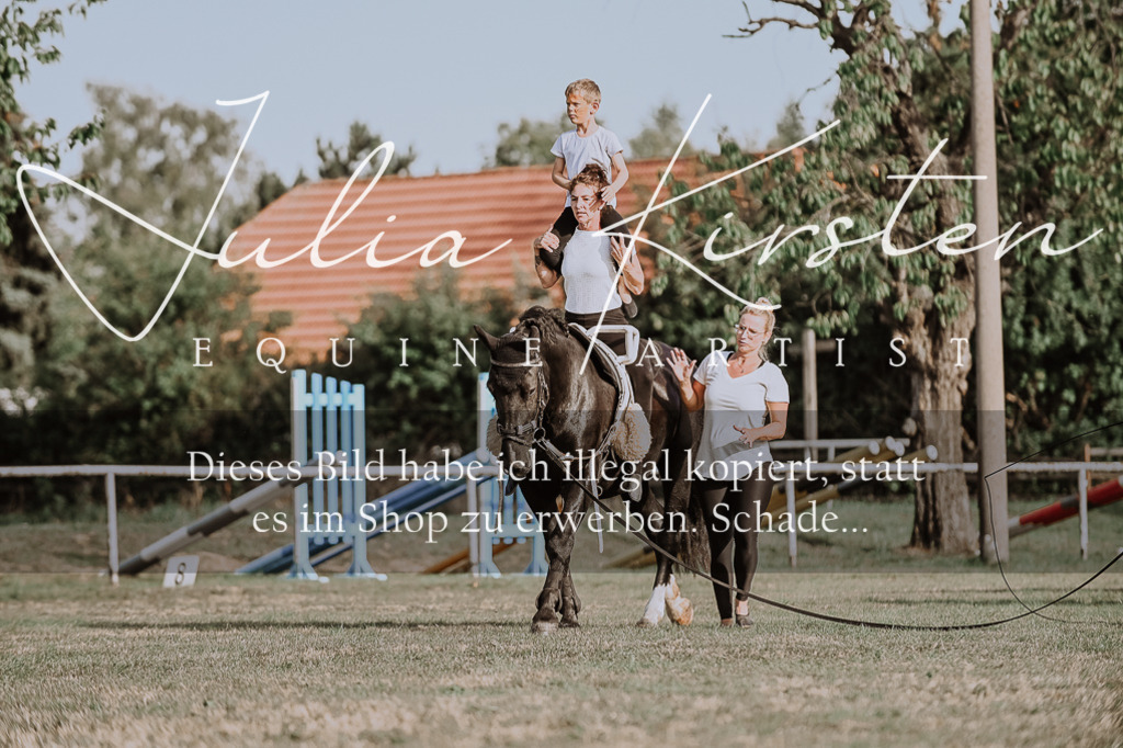 DSC_9932 | Pferde- und Turnierfotografie in Westsachsen. Pferdeportraits, Auftragszeichnungen und intuitive Kunst.