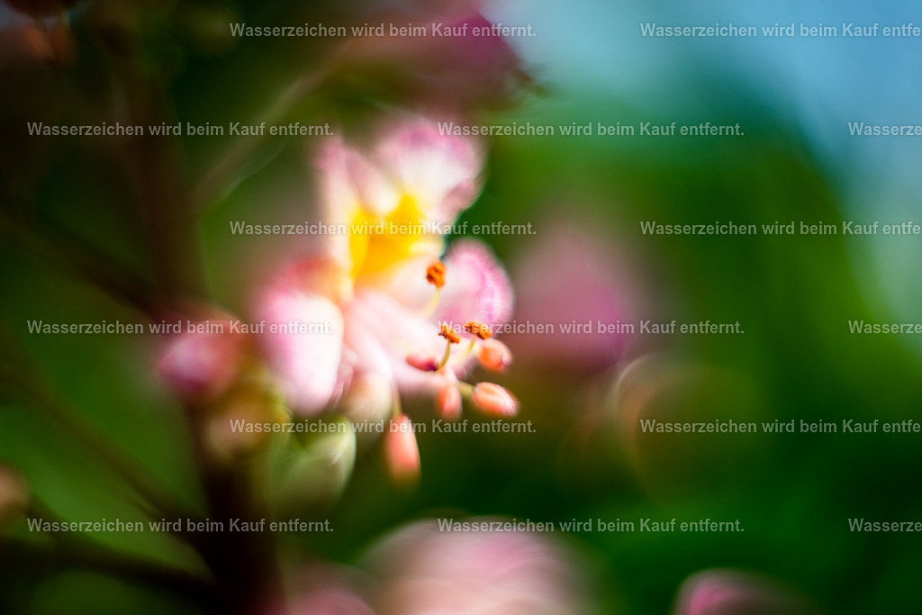 Deine Intuition leitet dich | Die Botschaft zum Bild lautet: Meditiere mit diesem Bild in dir und entfache das Feuer deiner Intuition für dich. Richte dich aus auf das Zentrum in deiner Mitte und diese Energie unterstützt dich dabei noch mehr intuitive Botschaften zu empfangen. Denn es ist Zeit, dass du deine Ideen in dieser Welt manifestierst. Diese Energie unterstützt dich dabei.