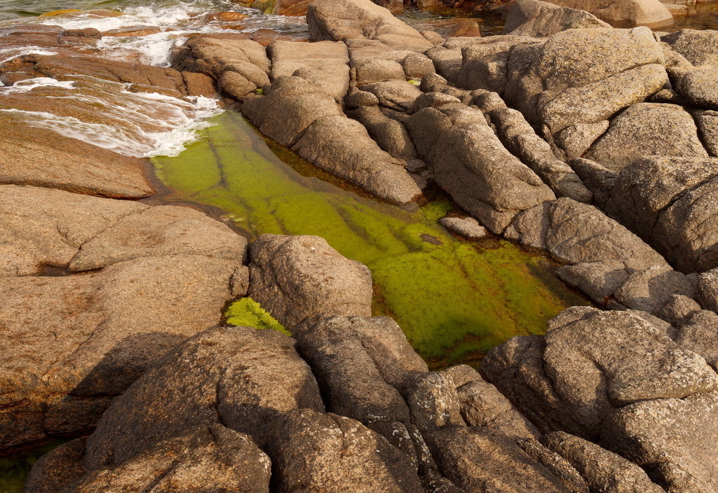 Grünes Bad mit frischem Wasser | Frisches Wasser fließt in einen schärenartigen Felsteich an der Küste - Realisiert mit Pictrs.com