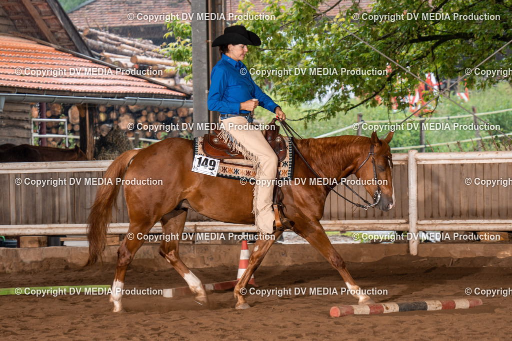 Erbach Tag 3-394 | dv-media-shop - Realisiert mit Pictrs.com