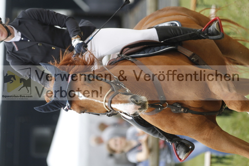 _MG_0337 | equestrian-live-com