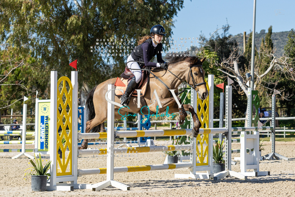 IMG_0248 | s-jay-photography - Realisiert mit Pictrs.com