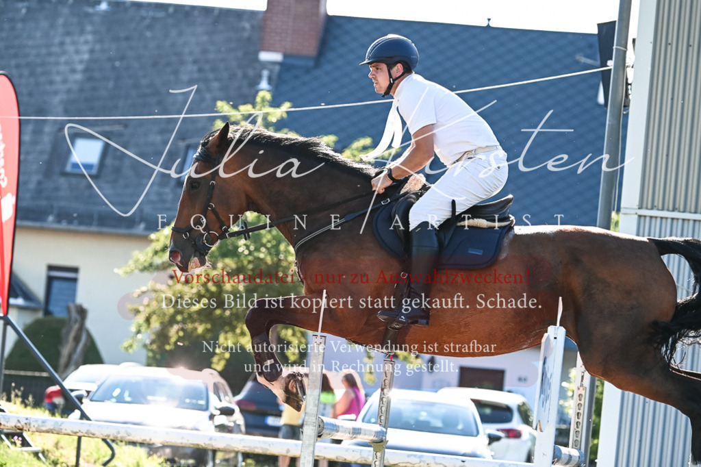 DSC_2735 | Pferde- und Turnierfotografie in Westsachsen. Pferdeportraits, Auftragszeichnungen und intuitive Kunst.