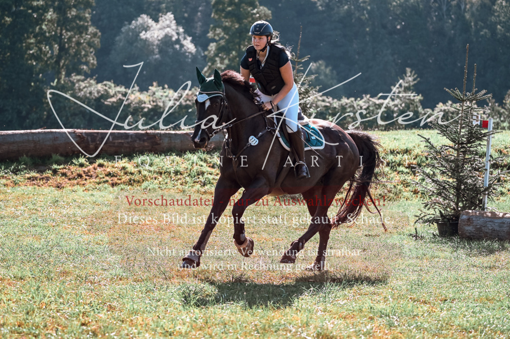 DSC_0899 | Pferde- und Turnierfotografie in Westsachsen. Pferdeportraits, Auftragszeichnungen und intuitive Kunst.