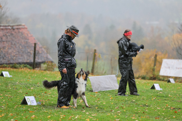2025_Rally_Obedience_SM-139 | Ich fotografiere Hundeausstellungen, Sportanlässe, Zuchtstätten, Hundezucht, Hundeportrait, Lagotto - Realisiert mit Pictrs.com