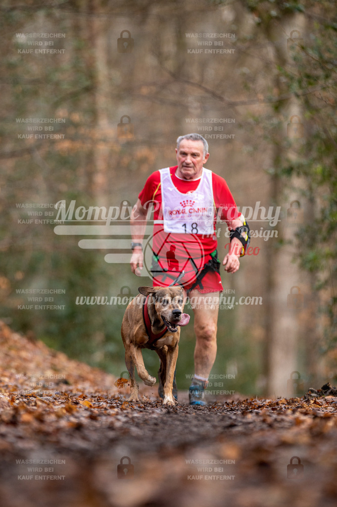 SPA_2023_DIM_CCL-164 | PayLife