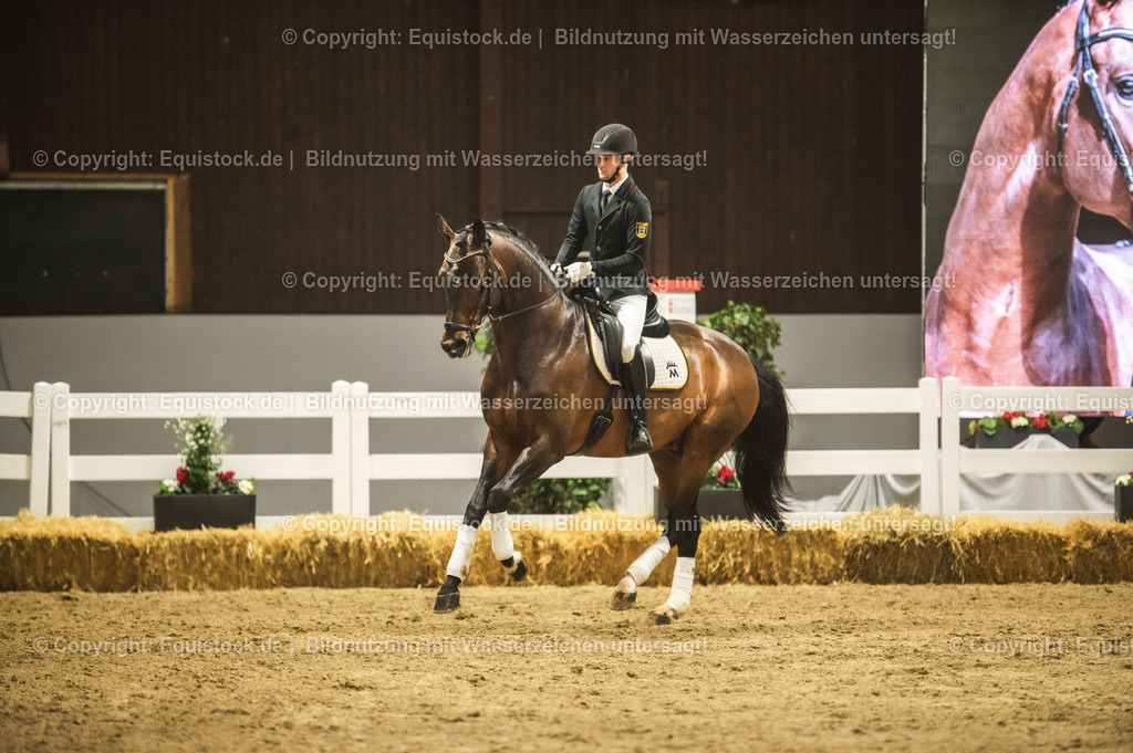 20240302_Hengstvorstellung_Marbach_TOMsPiC_1218-2 | equistock