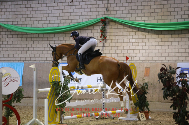 IMG_0876 | Deine Turnierfotos vom Reitturnier online kaufen: Dressur, Springen & Siegerehrung. Professionelle Pferdefotografie aus dem Rheinland – als Download & Print.Alternative: Turnierfotograf für den Pferdesport: Finde deine Fotos von Dressur- und Springturnier