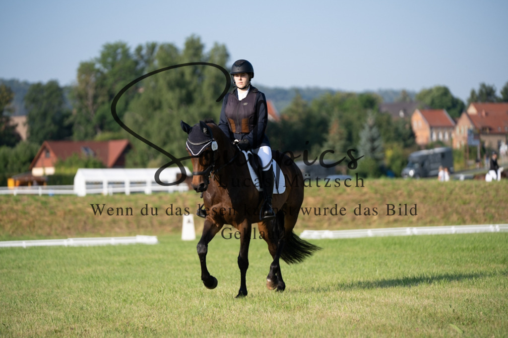 A7V09196 | Pferdefotograf