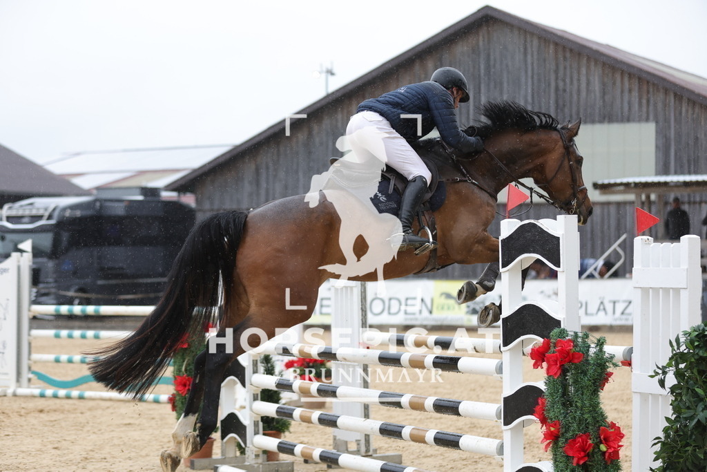 0P6A2136 | Willkommen bei Brunnmayr - Design & Fotografie – Ihrem Spezialisten für Reitturniere und Pferdeveranstaltungen in Oberösterreich, Salzburg und Bayern! Seit über 17 Jahren sind wir leidenschaftlich dabei.