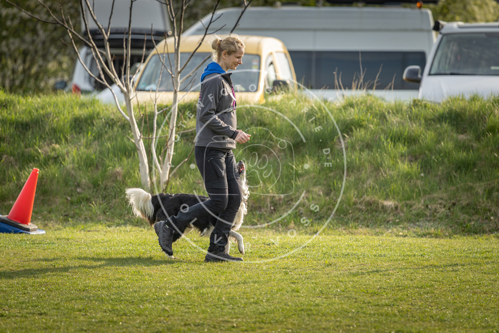 Pfotenfotografie_DV3A4743 | Hundefotografie, Tierfotograf, Pfotenfotografie, Fotoshooting Hund, Hunde Portrait, Hundesport, Hundeportraits, Heideshooting, Hunde, Sportfotograf, Hundefotograf, Turnierhundsport, THS,  - Realisiert mit Pictrs.com