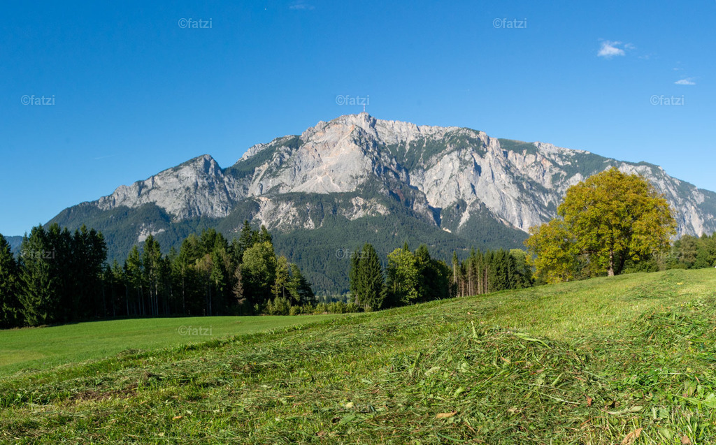 Dobr Panorama 2025 (Hohenthurn)_164224__fatzi-Pano | Fatzi Bilder-Archiv! 
Die Bilder sind für private Nutzung lizenzfrei. Die kommerzielle Nutzung ist möglich und erwünscht, jedoch bitte ich um vorherige Kontaktaufnahme per E-Mail (info@fatzi.at) oder unter +43 650 7828269 - Realisiert mit Pictrs.com