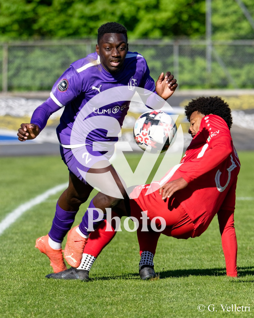 DSC_7396 | Velletri Photo