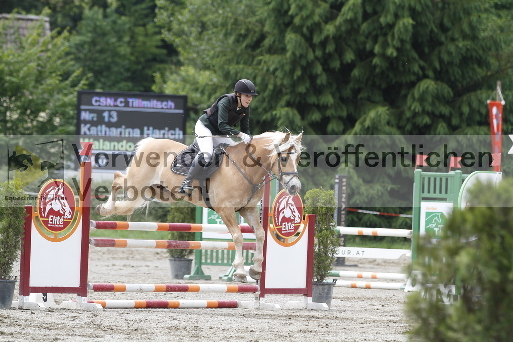 _MG_6154 | equestrian-live-com