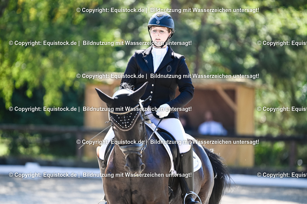 20230908_06_Dressur-L-Trense_0715 | equistock