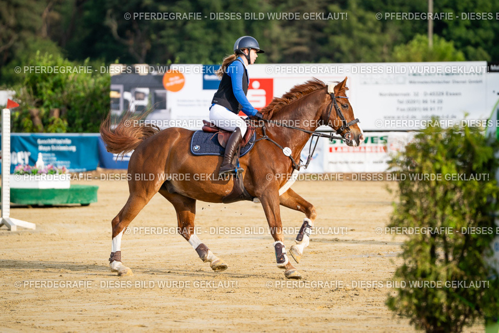 DSC01934 | Pferdegrafie