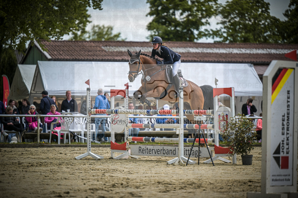 DOS_1847 | Entdecke hochwertige Reitturnierfotos von Foto Oger. Professionell, emotional und authentisch – jetzt Lieblingsmomente im Shop bestellen.Deutschlandweite Turnierfotografie. - Realisiert mit Pictrs.com