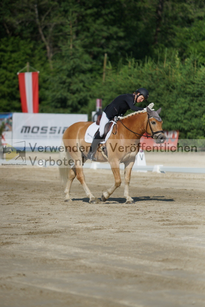 DSC01353 | equestrian-live-com