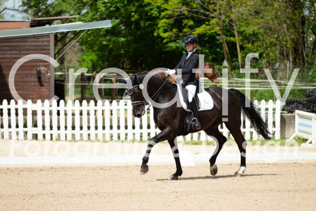 IMG_5865 | Creatify Fotografie