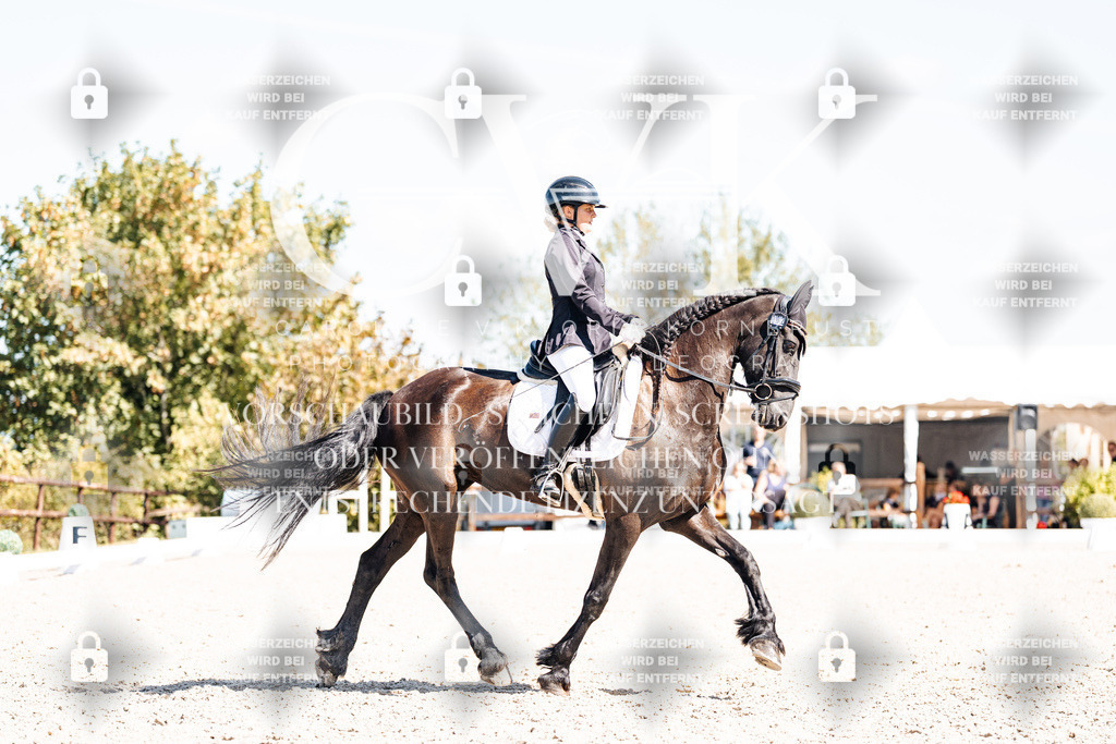 CK904042 | Turnierfotografie Pferdefotografie Trier Rheinland-Pfalz Pferdesport Reitsport Tierfotografie Sportfotografie Pferdevideo Pferdevideografie Equestrianvideography equestrianphotography  - Realisiert mit Pictrs.com
