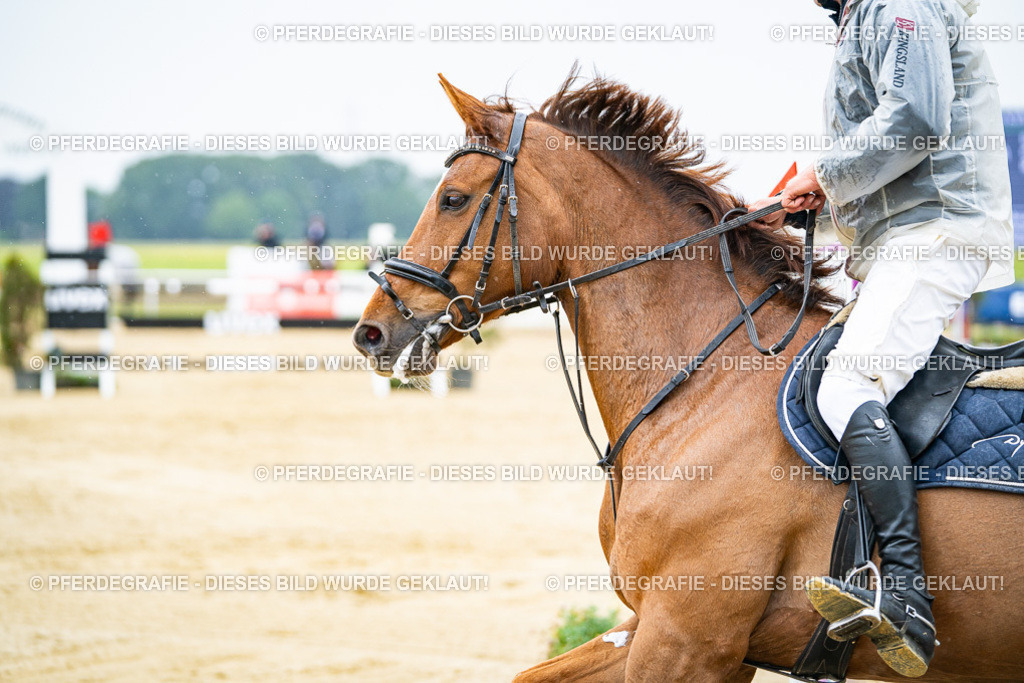 DSC07996 | Pferdegrafie