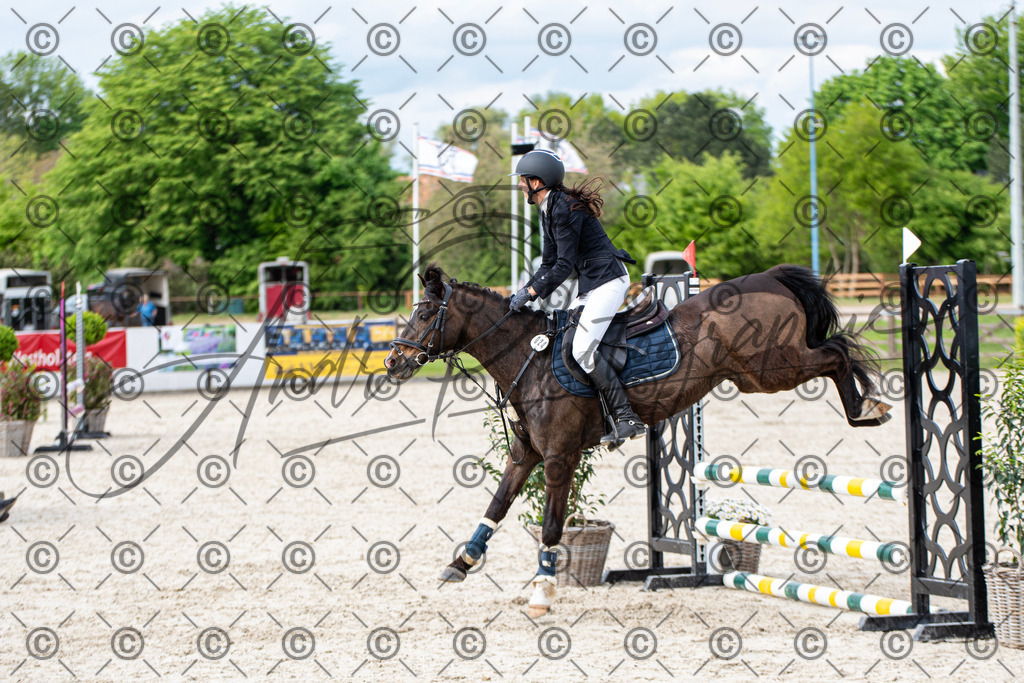 KPT_6609 | andre_photographic