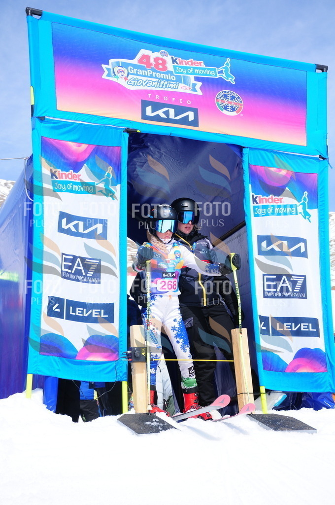 DSC_6393 | holidayphoto