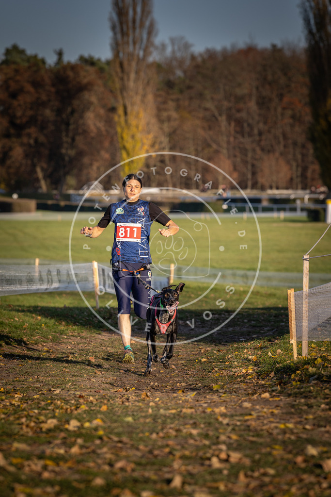 CaniXpix_DV3A3041 | Hundefotografie, Tierfotograf, Pfotenfotografie, Fotoshooting Hund, Hunde Portrait, Hundesport, Hundeportraits, Heideshooting, Hunde, Sportfotograf, Hundefotograf, Turnierhundsport, THS,  - Realisiert mit Pictrs.com