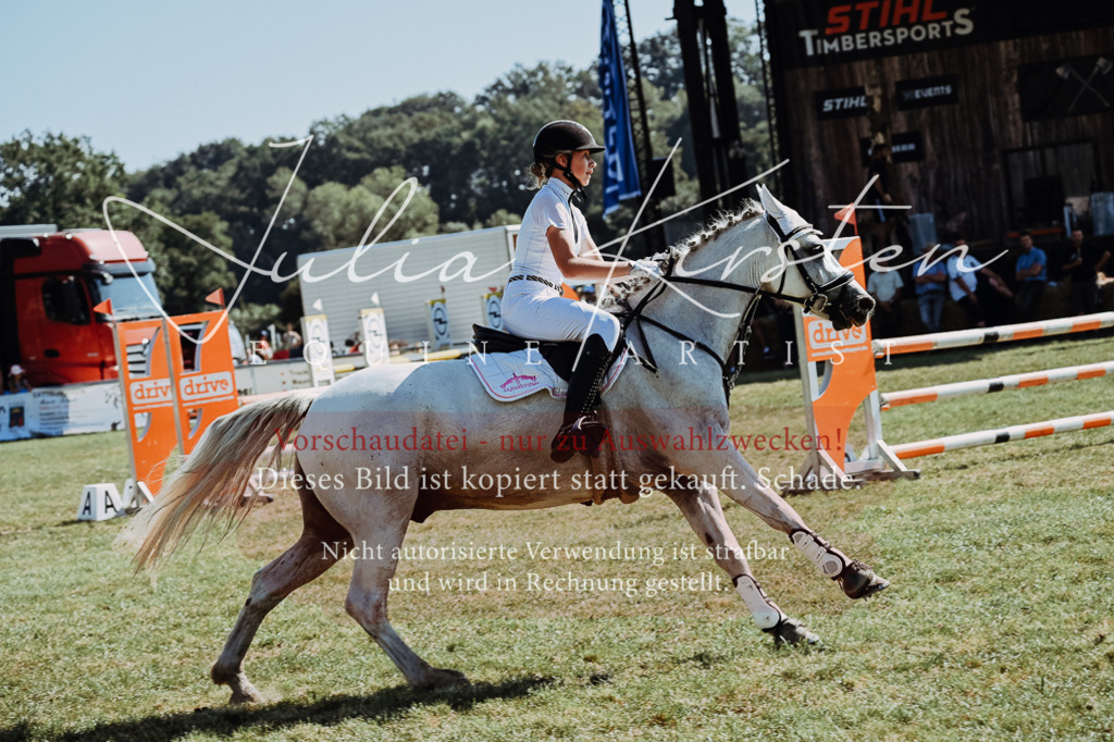 DSC_6076 | Pferde- und Turnierfotografie in Westsachsen. Pferdeportraits, Auftragszeichnungen und intuitive Kunst.