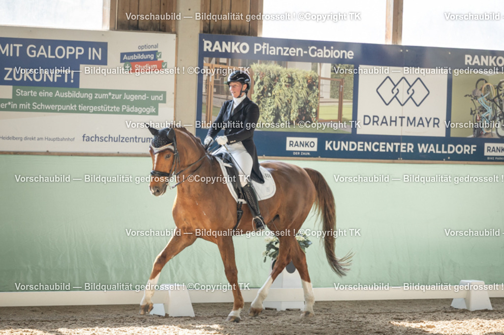 _D5A2229 | Emotionale Pferde- & People-Fotografie rund um Heidelberg, Leimen & Umgebung. Natürliche Fotos von Pferd, Mensch & Familie. Jetzt Termin sichern!