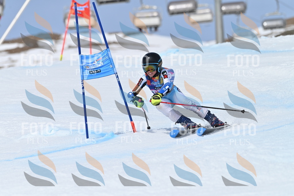 BGV_4077 | holidayphoto