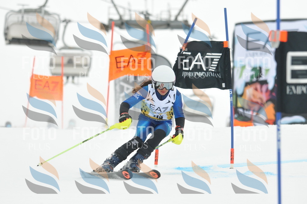 DSC_8161 | holidayphoto