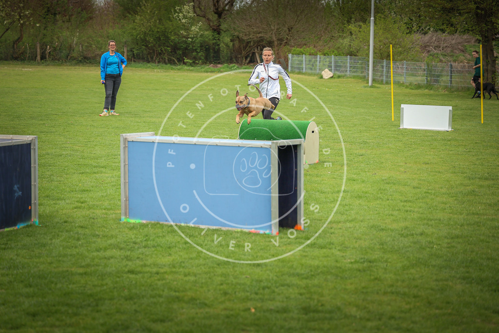 Pfotenfotografie_0L8A9777 | Hundefotografie, Tierfotograf, Pfotenfotografie, Fotoshooting Hund, Hunde Portrait, Hundesport, Hundeportraits, Heideshooting, Hunde, Sportfotograf, Hundefotograf, Turnierhundsport, THS,  - Realisiert mit Pictrs.com