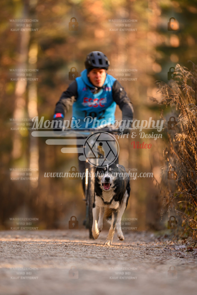 MompixPhotography_DM_AKDM_SO_2025_Scooter-224 | PayLife