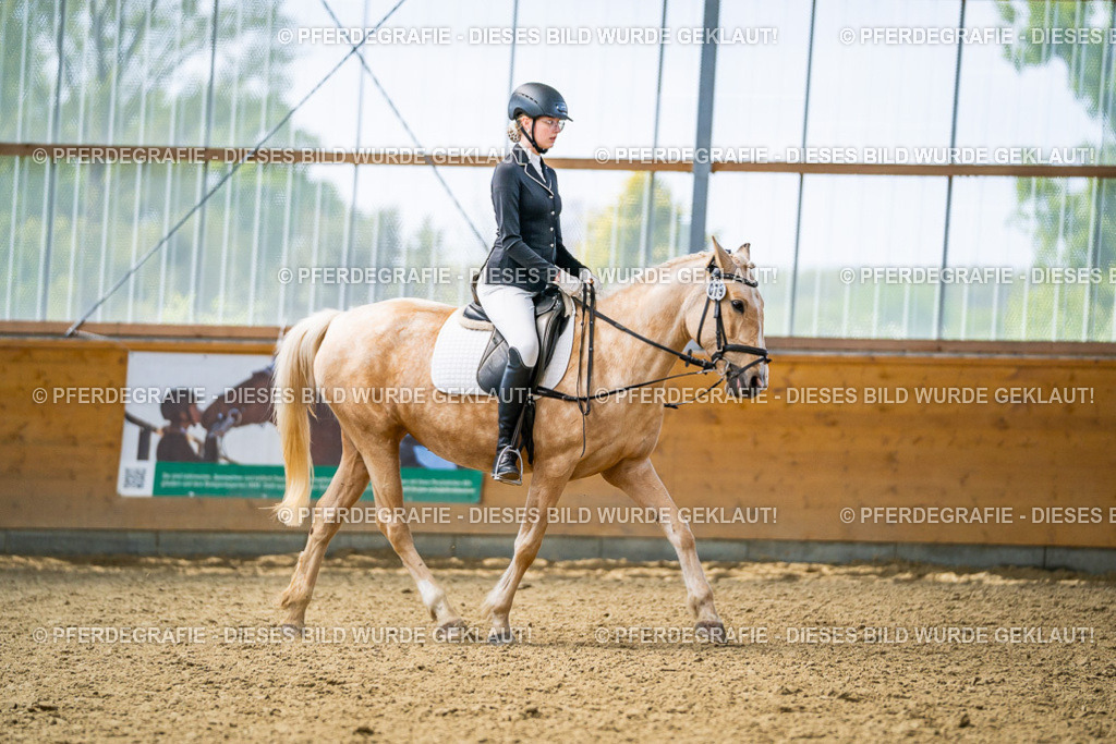 DSC04386 | Pferdegrafie