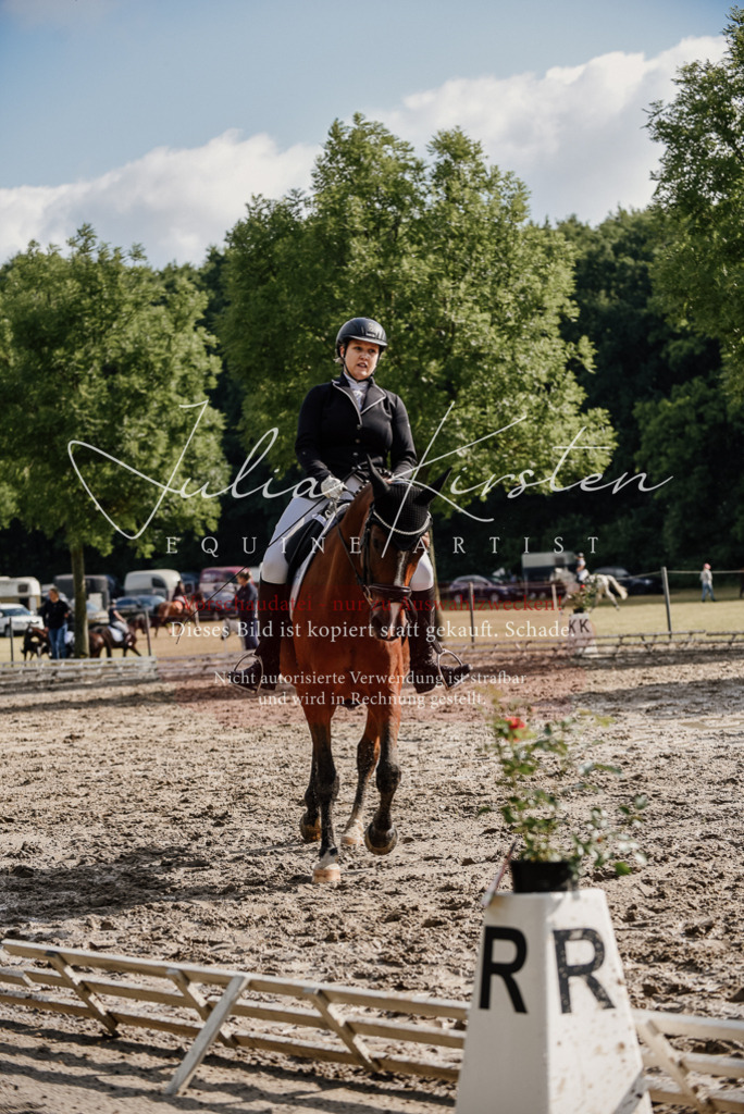 DSC_9032 | Pferde- und Turnierfotografie in Westsachsen. Pferdeportraits, Auftragszeichnungen und intuitive Kunst.