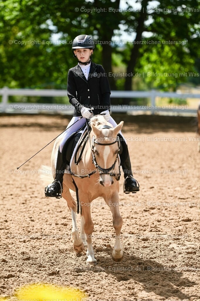 20230716_10-3_Reiter-WB Schritt - Trab - Galopp_0027 | equistock