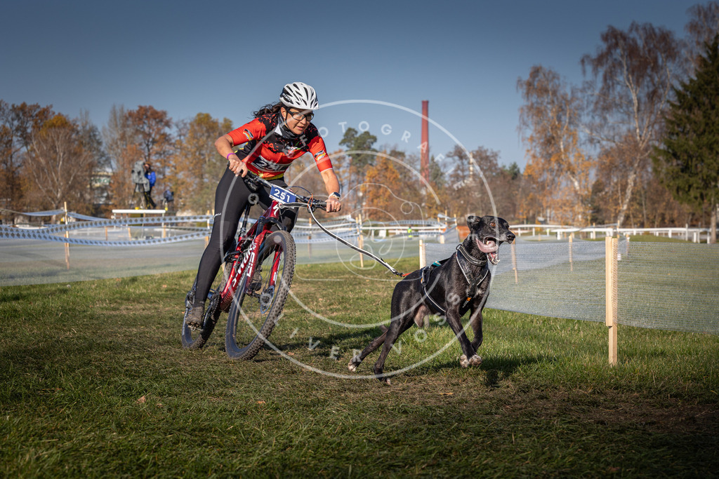 CaniXpix_0L8A6863 | Hundefotografie, Tierfotograf, Pfotenfotografie, Fotoshooting Hund, Hunde Portrait, Hundesport, Hundeportraits, Heideshooting, Hunde, Sportfotograf, Hundefotograf, Turnierhundsport, THS,  - Realisiert mit Pictrs.com