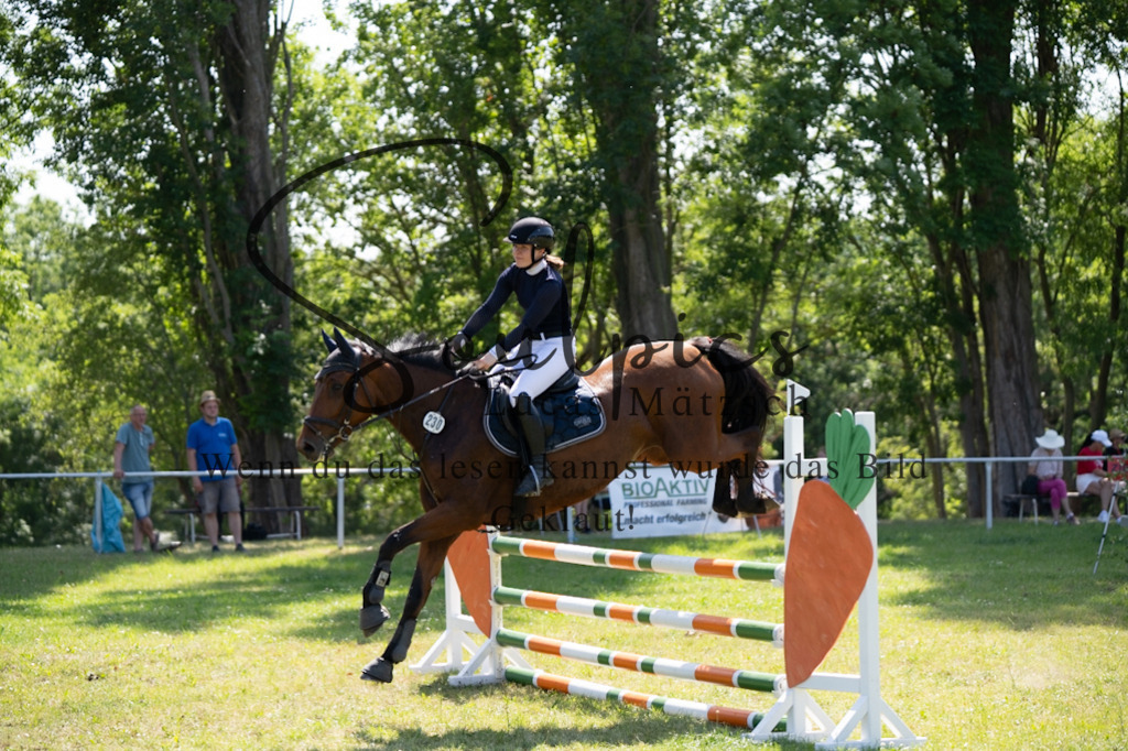 A7V06482 | Pferdefotograf